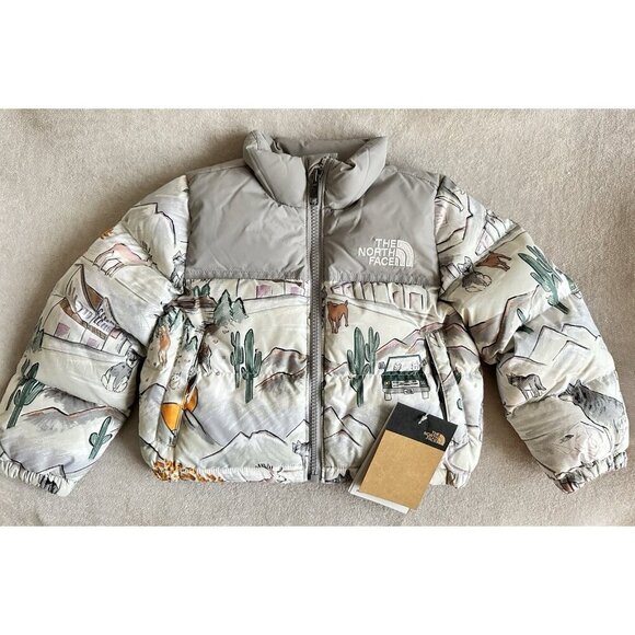 NWT North Face Nuptse 700 Down Series Puffer Jacket Toddler 2T Wolf Gray Winter - Picture 2 of 11